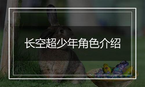 长空超少年角色介绍