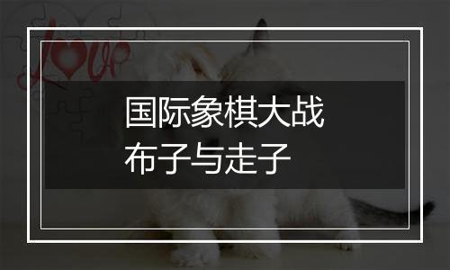 国际象棋大战布子与走子