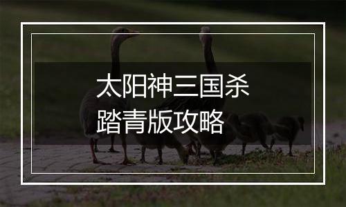 太阳神三国杀踏青版攻略