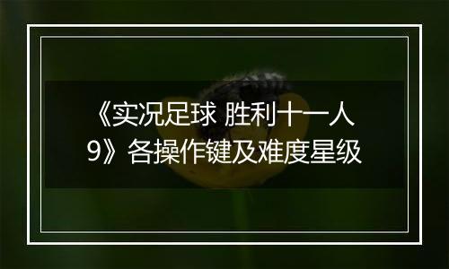 《实况足球 胜利十一人9》各操作键及难度星级