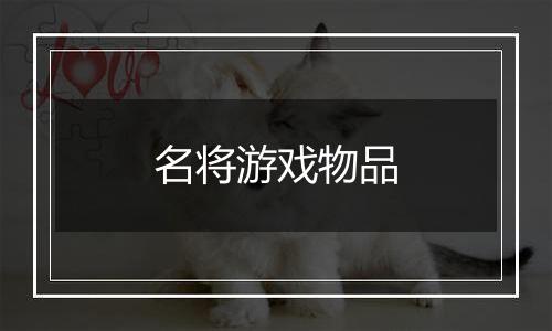 名将游戏物品