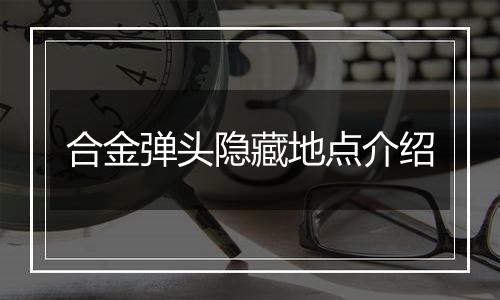 合金弹头隐藏地点介绍