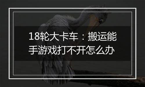 18轮大卡车：搬运能手游戏打不开怎么办