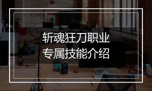 斩魂狂刀职业专属技能介绍
