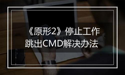 《原形2》停止工作跳出CMD解决办法