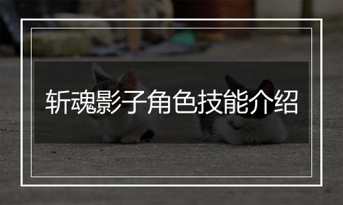 斩魂影子角色技能介绍