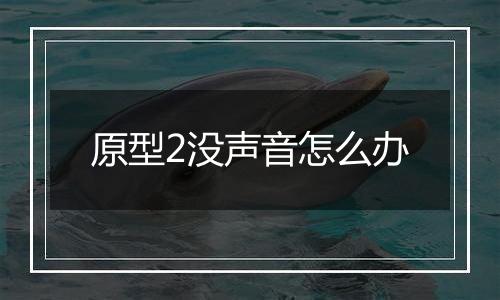 原型2没声音怎么办