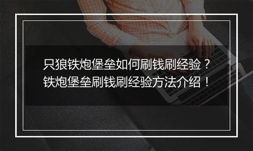 只狼铁炮堡垒如何刷钱刷经验？铁炮堡垒刷钱刷经验方法介绍！