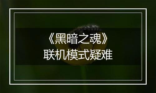《黑暗之魂》联机模式疑难