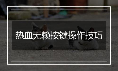 热血无赖按键操作技巧