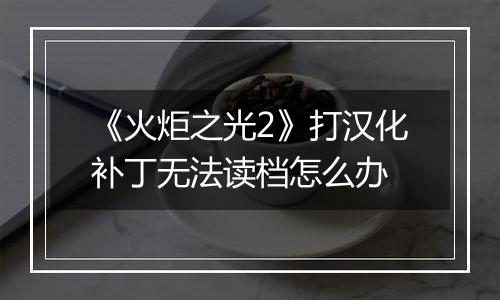 《火炬之光2》打汉化补丁无法读档怎么办