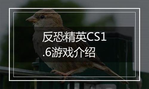 反恐精英CS1.6游戏介绍