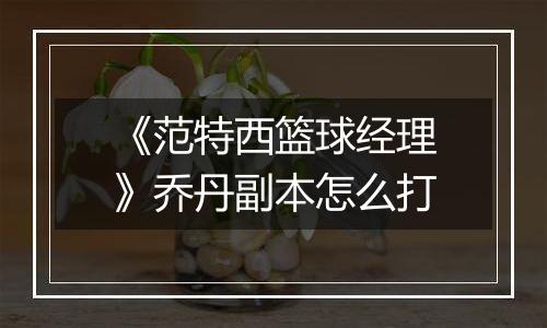 《范特西篮球经理》乔丹副本怎么打