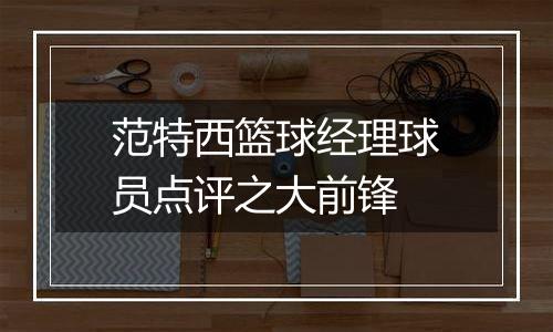 范特西篮球经理球员点评之大前锋