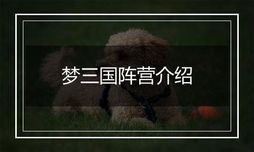 梦三国阵营介绍