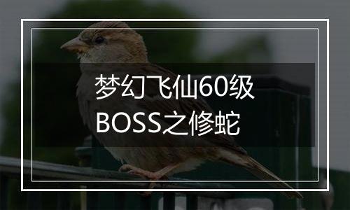 梦幻飞仙60级BOSS之修蛇