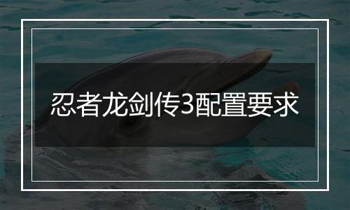 忍者龙剑传3配置要求