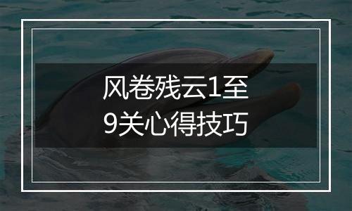 风卷残云1至9关心得技巧