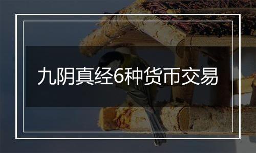 九阴真经6种货币交易