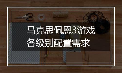 马克思佩恩3游戏各级别配置需求