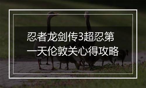 忍者龙剑传3超忍第一天伦敦关心得攻略