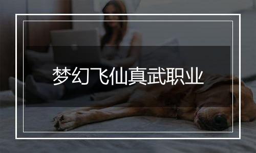 梦幻飞仙真武职业