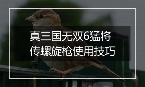 真三国无双6猛将传螺旋枪使用技巧