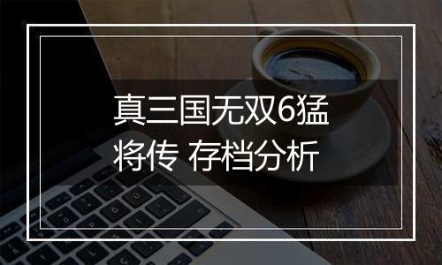 真三国无双6猛将传 存档分析
