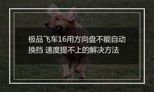 极品飞车16用方向盘不能自动换挡 速度提不上的解决方法