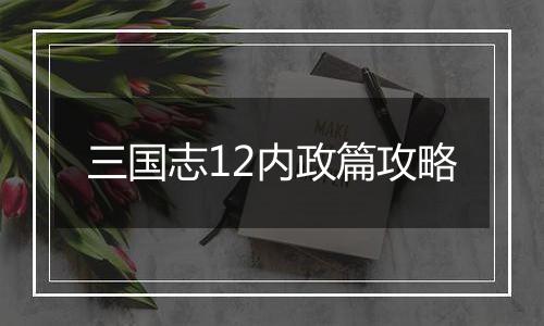三国志12内政篇攻略