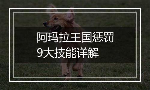 阿玛拉王国惩罚9大技能详解