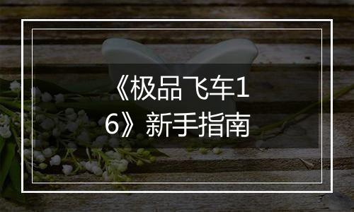 《极品飞车16》新手指南