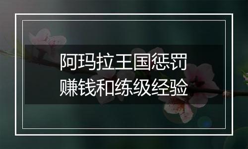 阿玛拉王国惩罚赚钱和练级经验