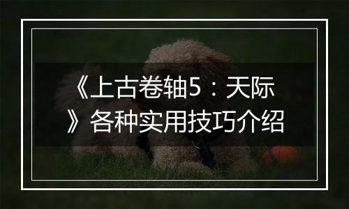 《上古卷轴5：天际》各种实用技巧介绍