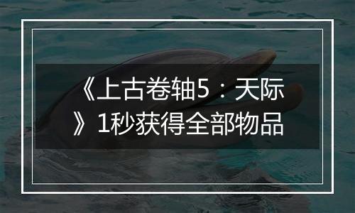 《上古卷轴5：天际》1秒获得全部物品