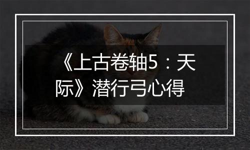 《上古卷轴5：天际》潜行弓心得