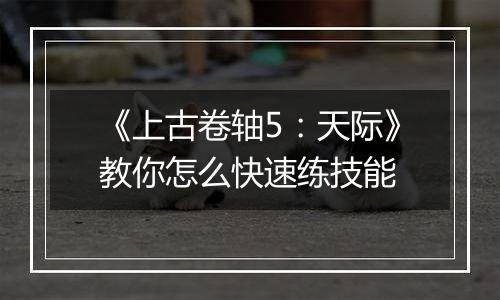 《上古卷轴5：天际》教你怎么快速练技能