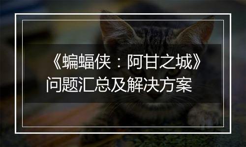 《蝙蝠侠：阿甘之城》问题汇总及解决方案