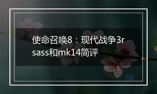使命召唤8：现代战争3rsass和mk14简评