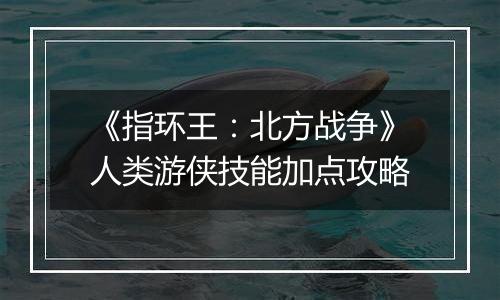 《指环王：北方战争》人类游侠技能加点攻略