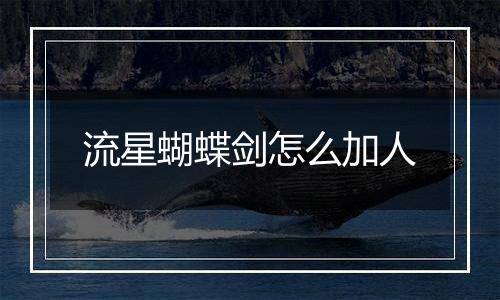 流星蝴蝶剑怎么加人