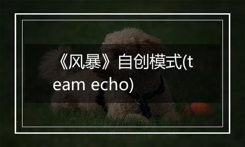 《风暴》自创模式(team echo)