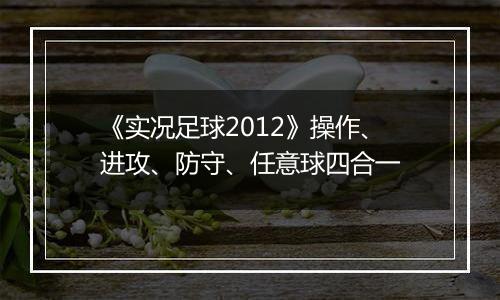 《实况足球2012》操作、进攻、防守、任意球四合一