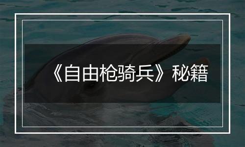 《自由枪骑兵》秘籍