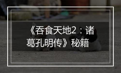 《吞食天地2：诸葛孔明传》秘籍