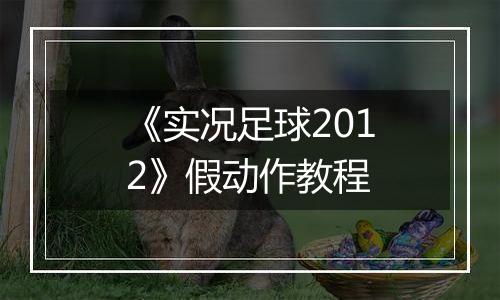 《实况足球2012》假动作教程