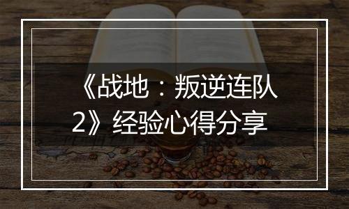 《战地：叛逆连队2》经验心得分享