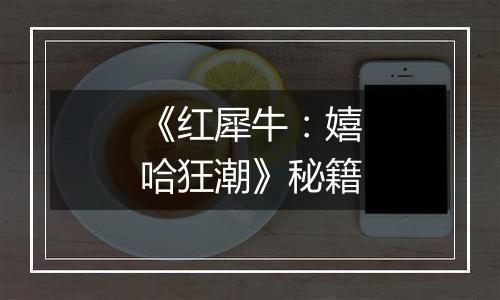 《红犀牛：嬉哈狂潮》秘籍