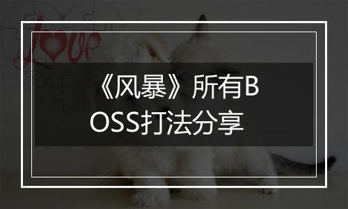 《风暴》所有BOSS打法分享