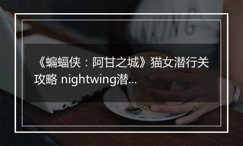《蝙蝠侠：阿甘之城》猫女潜行关攻略 nightwing潜行开篇